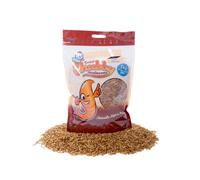 1Kg Dried Chubby Mealworms (Nutritional Info: Protein 53%, Fat 28%, Fibre 6%, Moisture 5%)
