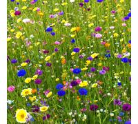 1kg Heritage Wild Meadow Flower Seed Mix for Bees and Butterflies Pegdev Multi One Size