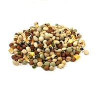 1kg Mixed Pulses for Parrots LJJ