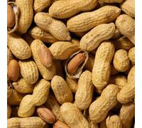 1kg Peanuts in Shell for Wild Birds - Monkey Nuts Whole Unsalted Bird Food - Natural High-Energy Feed for Garden Birds - Sold Per KG in Clear Bags