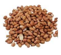 (1kg) Peanuts Wild Bird Whole Nuts Feed | PawMits Pet Supplies
