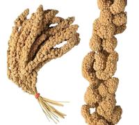 1kg Premium Millet Spray for Birds & Small Pets - Ideal for Budgies, Canaries, Cockatiels, and Parrots