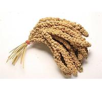 1kg Premium Millet Sprays, perfect for budgie, cockatiel etc. By Two Amigos Pet Supplies