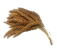 1kg Premium Red Millet Sprays - Ideal Food for Cage & Aviary Birds