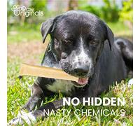 1KG Puppy Biscuits - Fresh Breath, Dental & Digestive Support Treats for Dogs - Reduces Gas, Bloating & Plaque - Healthy & Tasty Pet Snack