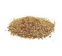1kg QUAIL SEED MIXED CAGE BIRD FOOD LJJ