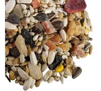 (1kg) Superior Amazon, Pionuis, Cockatoos & Poicephalus - Parrot Food | By PawMits Pet Supplies