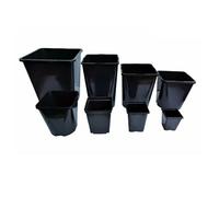 (1L / 11cm, 40) Elixir Gardens Square Plastic Plant Pots Reusable Quality | 0.25, 0.75, 1, 2, 3, 5, 5.5 & 11 Litre Sizes | Quantity 1 - 1500