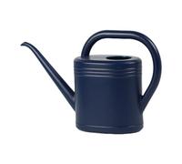 1L/2L Watering Can,Durable Plastic Watering Can for Indoor & Outdoor Plants,with Removable Sprinkler Rose,Ideal for Flowers, Houseplants & Gardening Blue2 2L