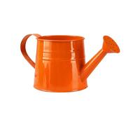 1L Indoor Watering Can in Sage Green,Rust-Resistant Galvanised Watering Can with Handle and Long Spout,Classic All Year Round Durable Garden Tools Made from Steel (Orange)