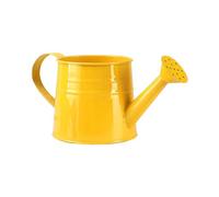 1L Indoor Watering Can in Sage Green,Rust-Resistant Galvanised Watering Can with Handle and Long Spout,Classic All Year Round Durable Garden Tools Made from Steel (Yellow)