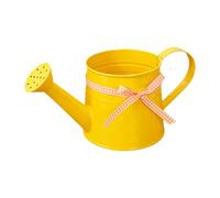 1L Metal Decorative Pot | Small Watering Can with Sprinkler | Decorative Watering Can | Vintage Tinplate Sprinkling Kettle | Tinplate Shower Bucket for Indoor Outdoor Garden Accessory