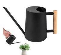 1L Mini Indoor Watering Can for Houseplants,Stainless Steel Bonsai Sprinkler Jug, Indoor & Outdoor Small Long Spout Flower Sprinkling Pot for Home Potted Plant,Herb Garden, Flowers & Succulents|Black