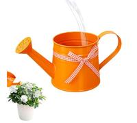 1L Small Metal Watering Can with Rose Head Indoor houseplants