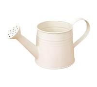 1L Small Metal Watering Can with Sprinkler Rose Head, Indoor Outdoor Gardening Tool, Lightweight Galvanised Water Jug for Houseplants Flowers Garden (white)