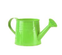 1L Small Metal Watering Can with Sprinkler Rose Head, Indoor Outdoor Gardening Tool, Lightweight Galvanised Water Jug for Houseplants Flowers Garden (green)