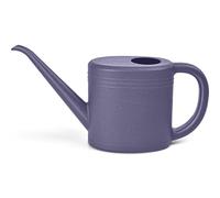 1L Small Watering Can, Durable Plastic Watering Can for Indoor & Outdoor Plants, Easy Pour Garden Jug with Sprinkler Rose, Ideal for Flowers, Houseplants & Gardening (Purple)