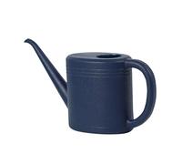 1L Small Watering Can, Durable Plastic Watering Can for Indoor & Outdoor Plants, Easy Pour Garden Jug with Sprinkler Rose, Ideal for Flowers, Houseplants & Gardening (B)