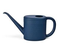 1L Small Watering Can, Durable Plastic Watering Can for Indoor & Outdoor Plants, Easy Pour Garden Jug with Sprinkler Rose, Ideal for Flowers, Houseplants & Gardening (Blue)
