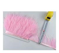 1M 5M 10M 8-10CM Ostrich Feather Trims Ribbon Skirt DIY Clothing Ostrich Feathers for Crafts Plumes for DIY(21 Pink,5 Meters)