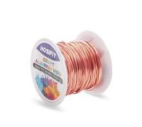 1mm Craft Wire, Champagne Aluminum Craft Wire, Jewelry Wire for DIY Sculptures, Modeling, Jewelry Making, Floral Crafting and Wire Weaving (Champagne, 30 Meters)
