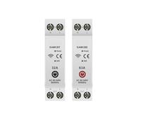 1P 1P+N Smart Circuit Breaker Time Relay Switch Remote Control AUOQKQUT(E-W-e-Link,63A)