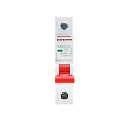 1P 2P AC Surge Protector T2 Surge Protection Arrester 230V 400V Surge Protector DIN Rail Current Circuit Breaker 10kA 20kA(80ka,1P)