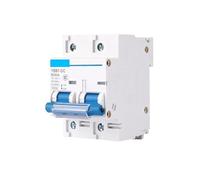 1P 2P DC Circuit Breaker 80A 100A 125A 150A 200A 250A 12V 24V 36V 48V 60V 72V 120V Circuit Breaker for Solar Cells(2P,100A)