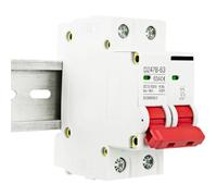 1P 2P DC MCB 12V 24V 48V 60V 110V Circuit Breaker Battery Protect Switch Positive Negative Short Circuit 6A 16A 20A 32A 63A 125A (1P 100A)