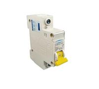 1P DC 250V Circuit Breaker C Curve Single Pole DC Fuse Suitable for photovoltaic(1P 32A)