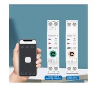 1P+N 63A 110V 220V Smart Switch Meter Kwh Metering Circuit Breaker Timer Relay Voltage Current Protection IDGTTLDF(20A)
