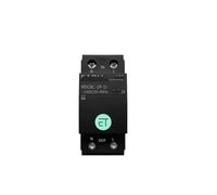 1P+N Circuit Breaker Intelligent Timer Relay Switch Voice Remote Control(RDCBC/T-2P-TJ,63A)