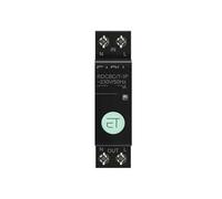 1P+N Circuit Breaker Timer Relay Switch Voice Remote Control Home(63A)