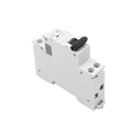 1P+N MCB AC Circuit Breaker 6KA C Curve B Curve 6A 10A 16A 20A 25A 32A 40A 220V(B Curve,10a)