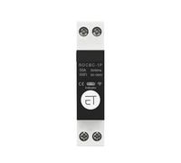 1P+N Rail Circuit Breaker Time Switch Relay(50A)