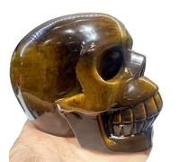 1pc 1-1.3kg Tiger's Eye Skull Gems Gifts Room Decorations