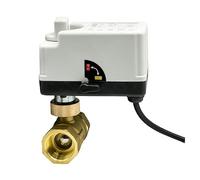 1PC 1/2" 3/4" 1" 2" Motorized Ball Valve 220V 12V 24V 3-Wire 2 Control Brass Electric Ball Valve with Manual Switch(DN20,24VDC)