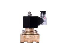 1pc 1/2" Normally Closed Brass Solenoid Valve 2T Series Liquefied Petroleum Gas Natural Gas DN15 Switch Water Valves 220V 24V 12V(G,110VAC)