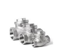 1PC 2" BSP Internal Thread Horizontal Check Valve SS304 Stainless Steel Swing Check Valve MQXFCZUX