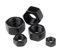 1PC/2PCS/5PCS/10PCS/20PCS/50PCS 304 Stainless Steel Black Carbon Hex Hexagon Nut(M6 x20pcs)