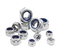 1PC/2PCS/5PCS/10PCS/25PCS 304 Stainless Steel Hex Nylon Lock Nuts Hexagon Self-locking Nylock Nut Locknuts(M12 x 5Pieces)