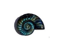 1pc 3-4cm Crystal Labradorite Carved Ammonite High Home Decoration