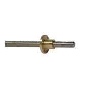 1pc 304 Stainless Steel T10 Lead Screw with Brass Nut - 2mm Pitch, 4mm Lead for 3D Printers and Linear Guides(450mm with Nut)