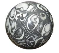 1pc 310-400g Shell Stone Spheres Gemstones Spiritual Home and Office Decorations