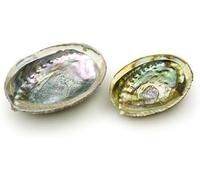 1Pc 4-4.5 Inch Colorful Large Abalone Shell Bowl Natural Smudge Bowl for Sage Burning and Incense Sea Shell Smudging Bowl for Decor and Display Incense Holders