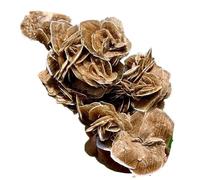 1pc 410-500g Selenite Desert Rose Crystal Cluster Gemstone Room and Office Decoration