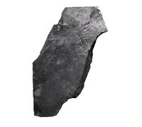 1pc 5-15g Crystal Crafts Schungite Gemstone Rock Unpolish Rough Raw Shungite Stone for Decoration