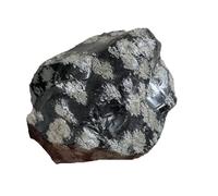1pc 510-600g Snowflake Obsidian raw Stone