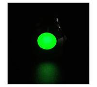 1pc 6 8 10 12 16 19 22mm Waterproof IP67 Metal LED Warning Indicator Light Signal Lamp Wire 3V 5V 12V 24V 110V 220V(Green,6MM_3-6V)
