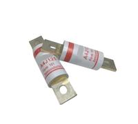 1pc A4J50 50A A4J60 60A A4J70 70A A4J80 80A fuse(A4J80 80A)